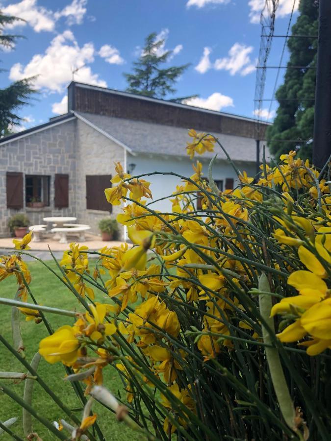 Villa Aurelia - Casa De Campo Con Jardin Y Piscina Entre Madrid Y Segovia Ortigosa del Monte Eksteriør bilde